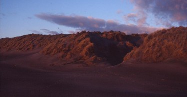 On the road again - von Waipu Cove nach Kawhia 2