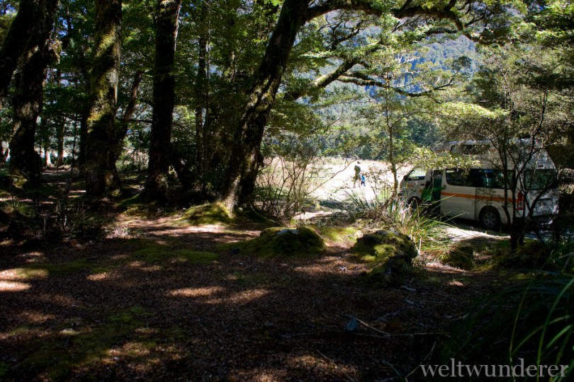 Doc Campsite Cascade Creek Natur Pur Im Fiordland Weltwunderer