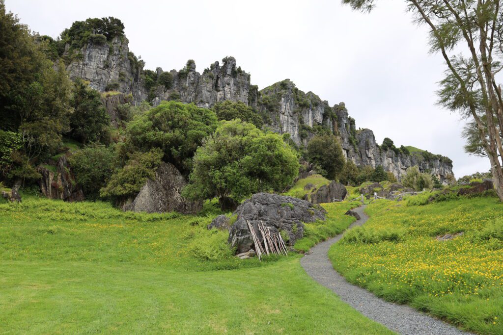 Neuseeland 2024 Piopio Hairy Feet Waitomo