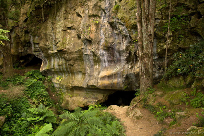 Waipu Caves