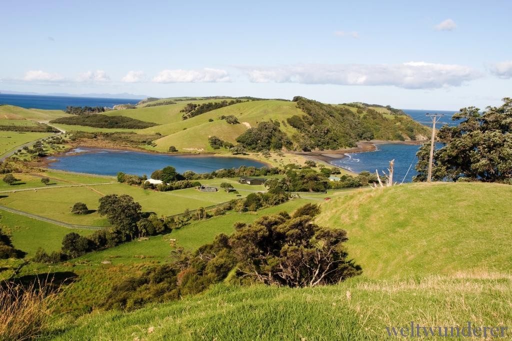 Predator free Tawharanui Peninsula near Auckland