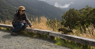 Weltwunderer Kea Milford Sound