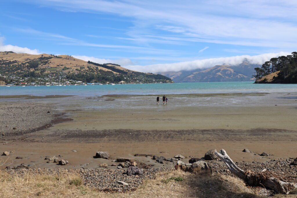 Childrens Bay Akaroa