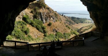 Barnett Park Cave Walk Christchurch