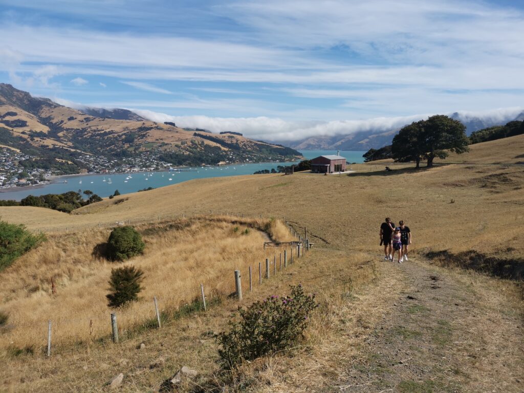 Rhino Walk Akaroa