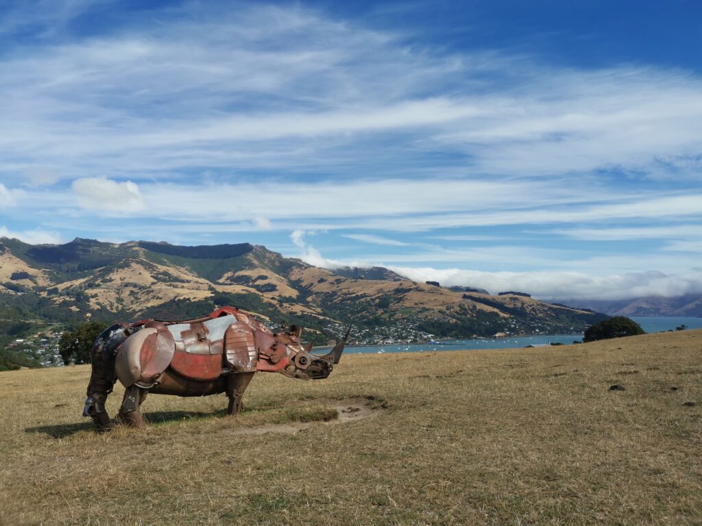 Rhino Walk Akaroa Banks Peninsula