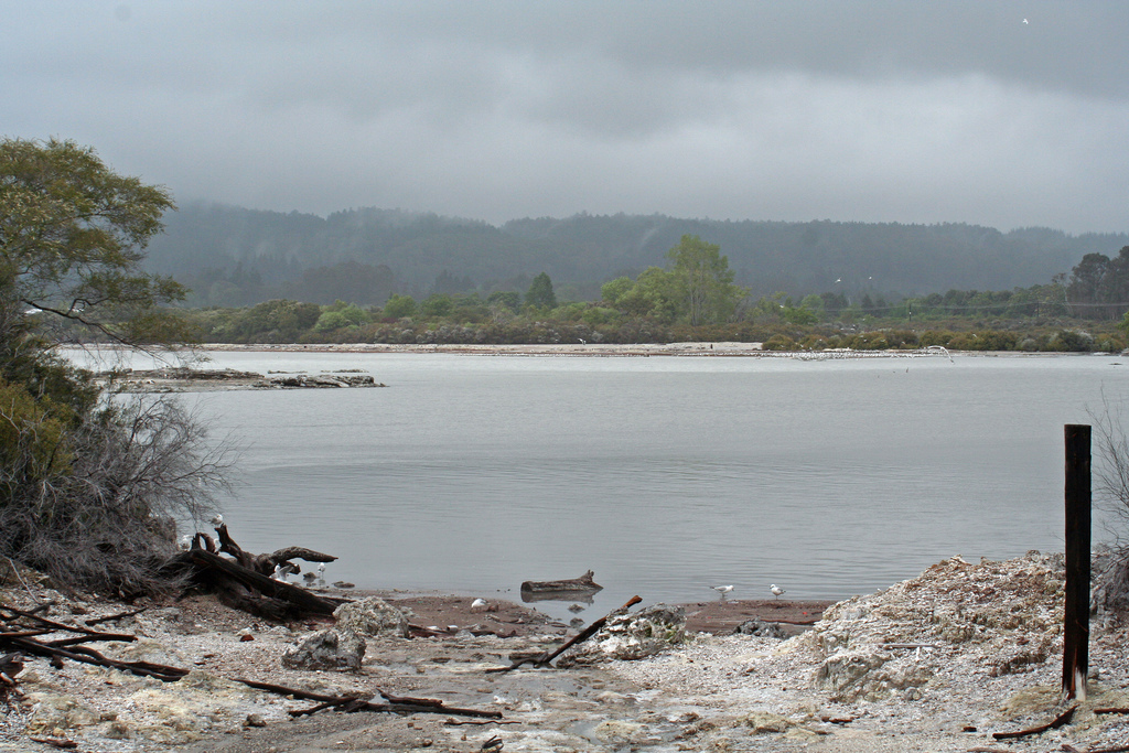 Seen in Neuseeland Flickr_Ruth Hartnup Lake Rotorua