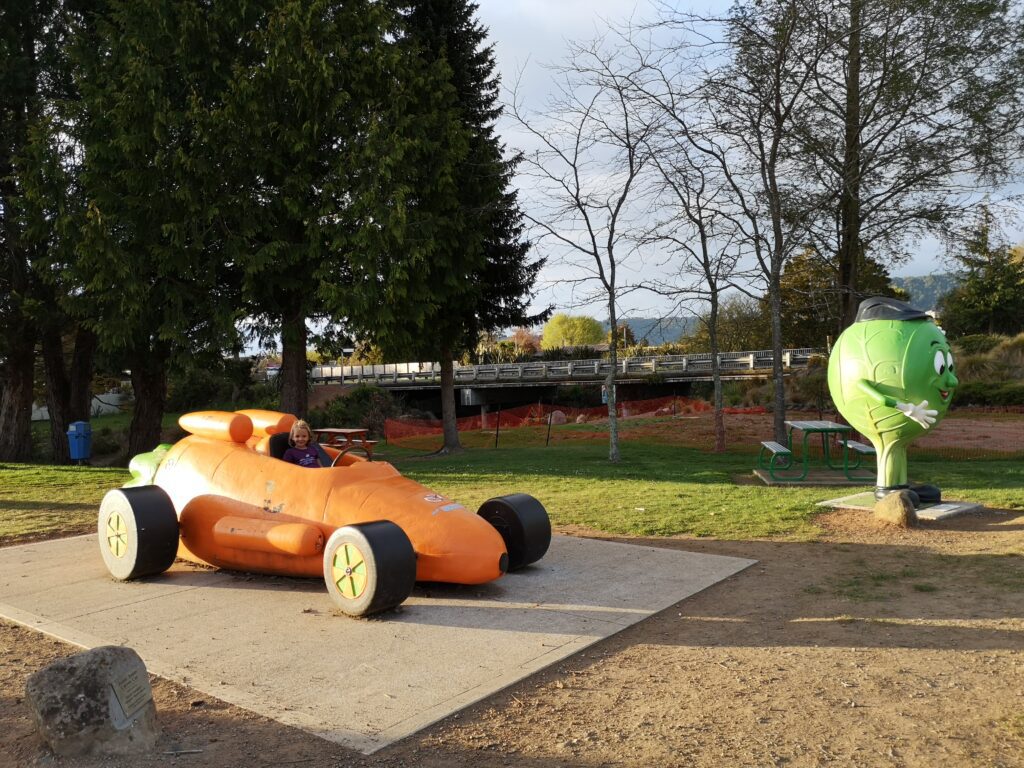 Ohakune Playground