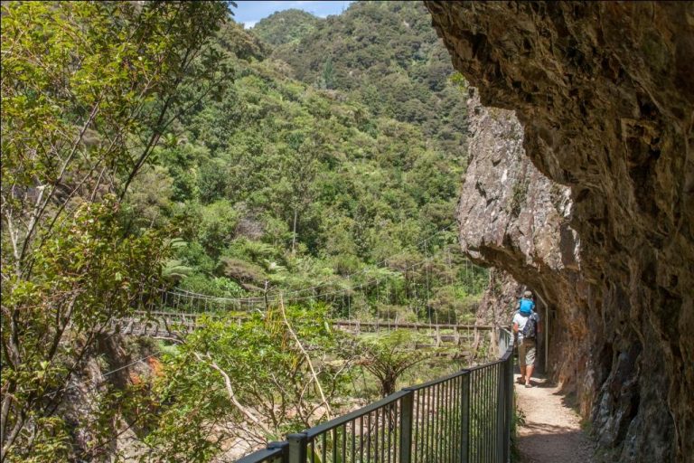 Wandern Mit Kindern In Neuseeland Der Karangahake Gorge Windows Walk Weltwunderer 0085