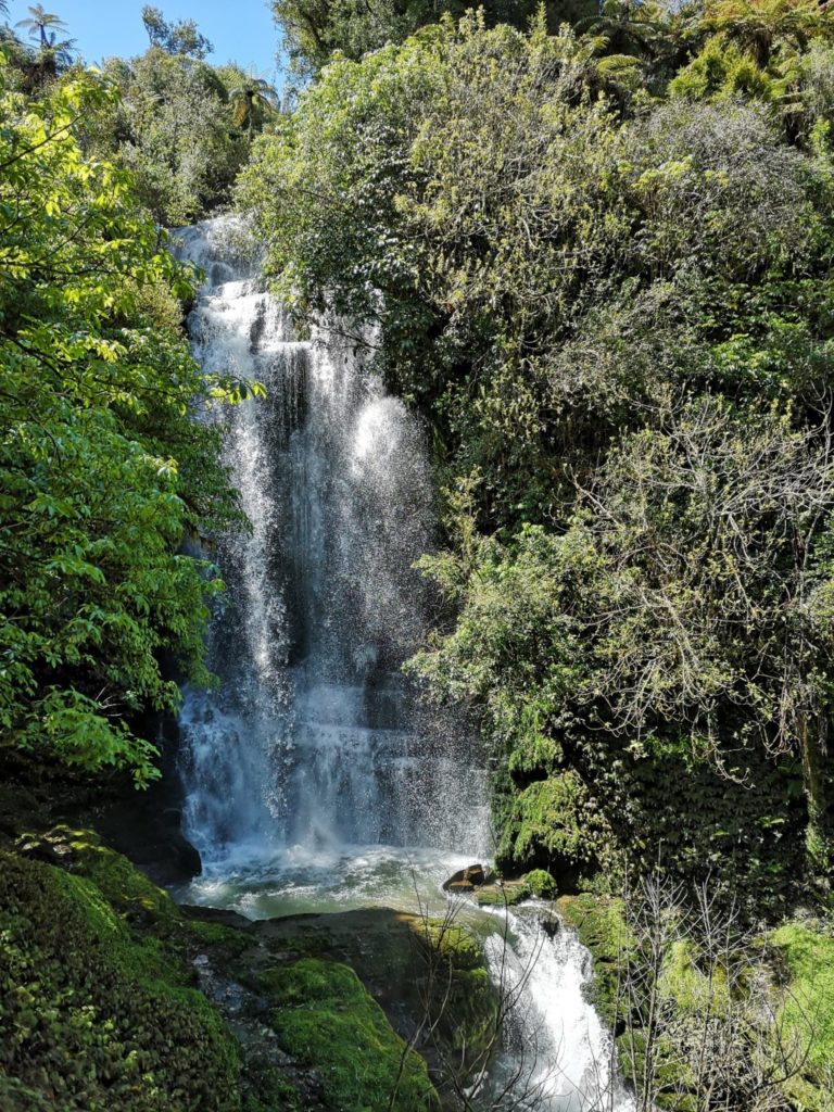 Waitanguru Falls Piopio