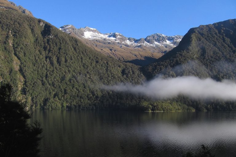 Die 19 Schönsten Wanderwege In Neuseeland Für Familien Weltwunderer 8329