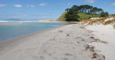 Sommer in Neuseeland Pakiri Beach