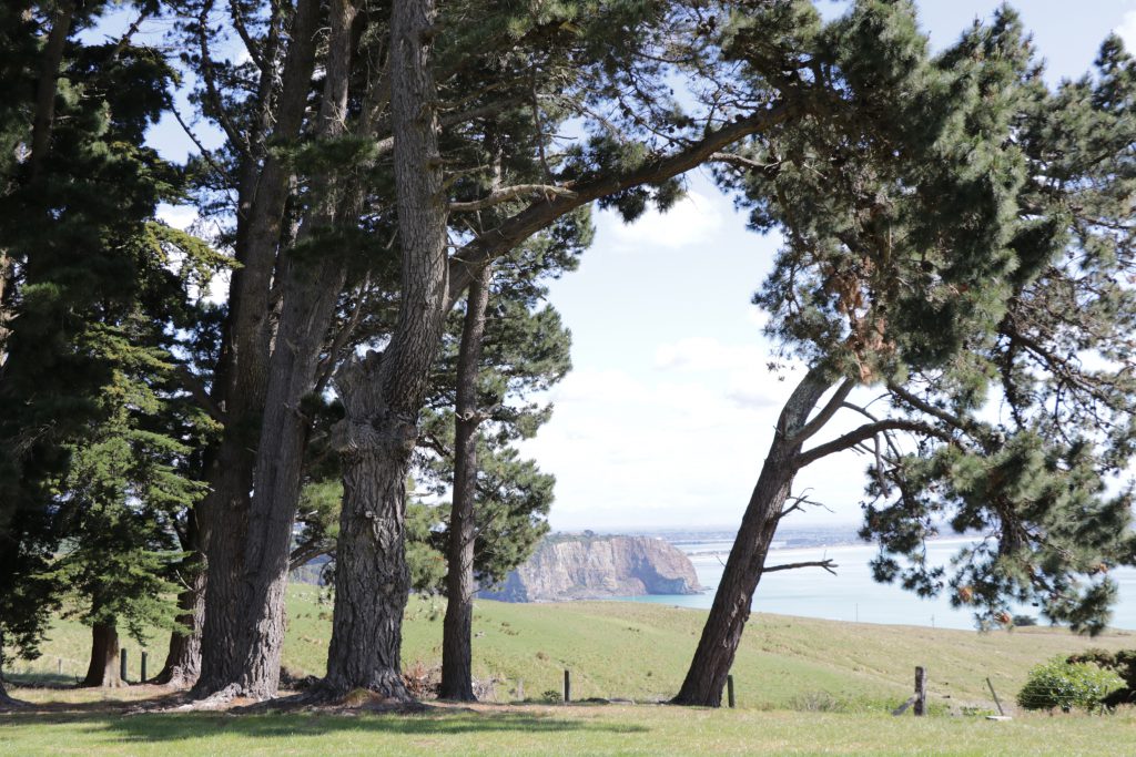 Godley Head Campsite