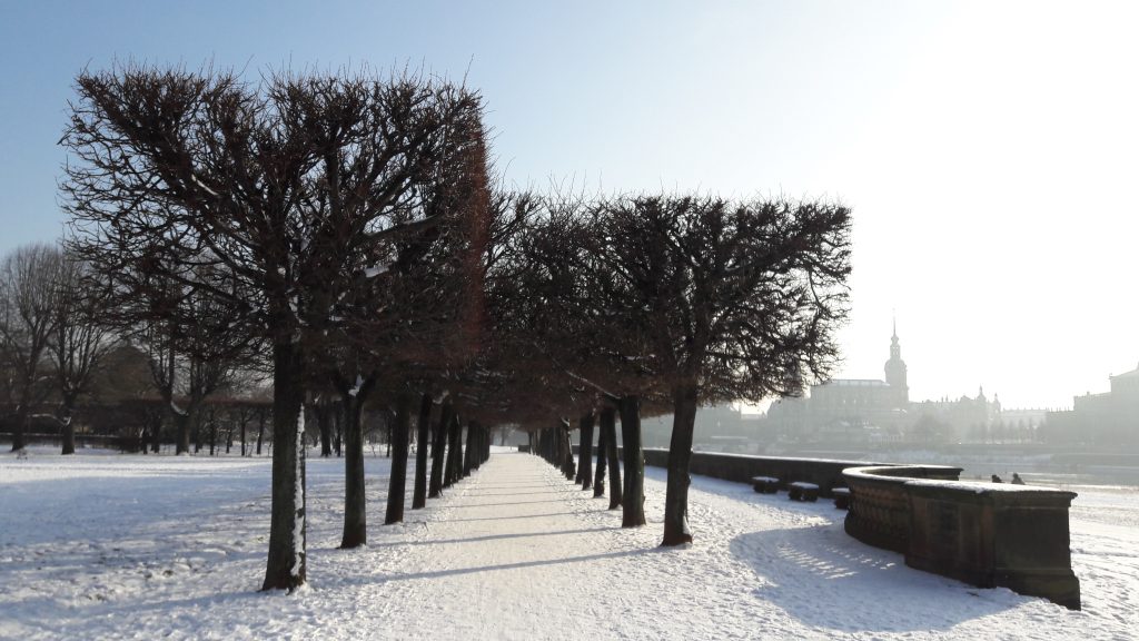 Dresden im Winter mit Kindern