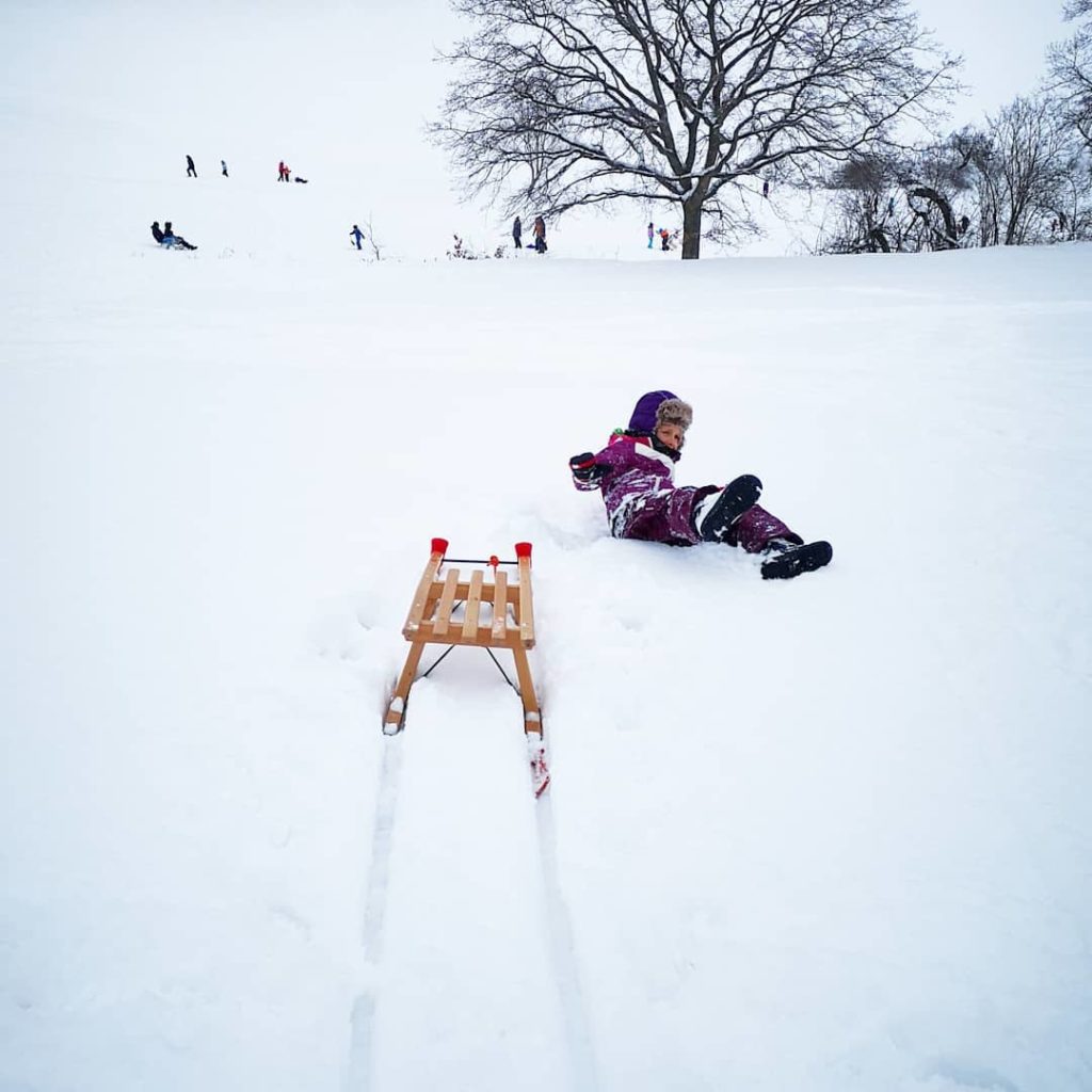 Dresden im Winter Rodeln