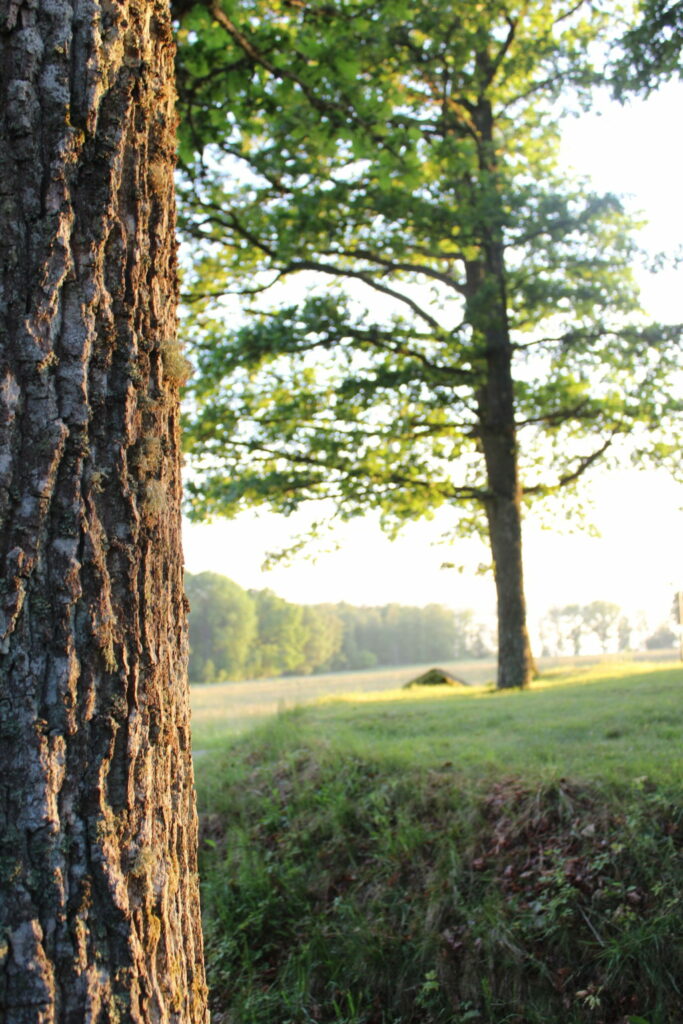 Schweden im Sommer