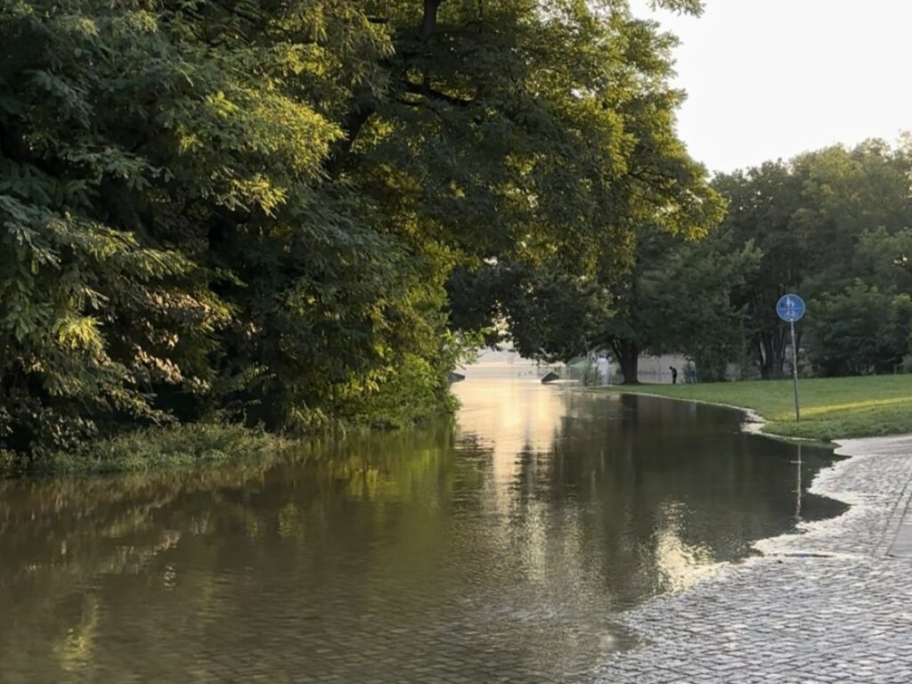 Elberadweg Dresden Hochwasser