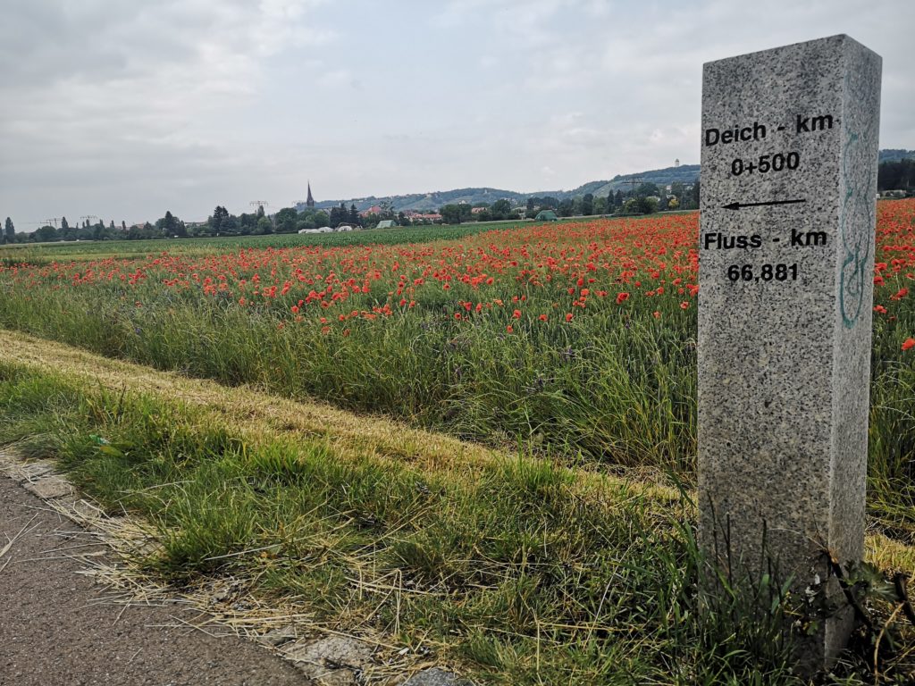 Elberadweg Dresden