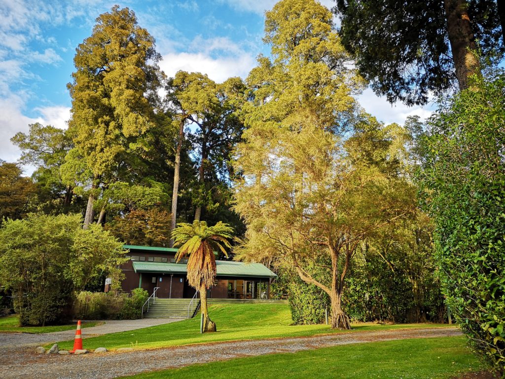 Pelorus River Camping Ground