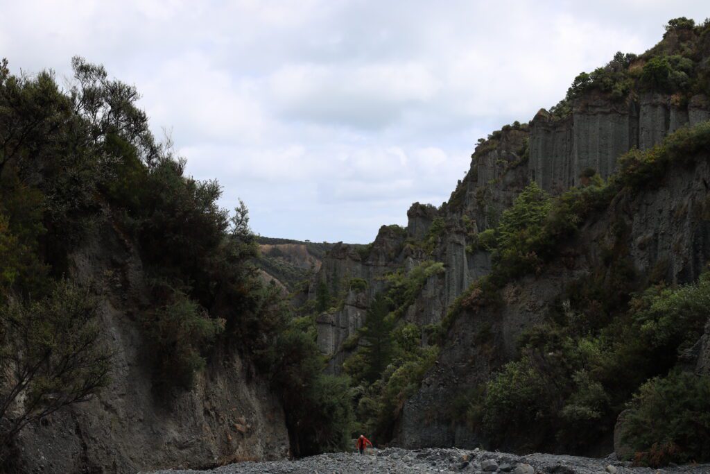 Herr der Ringe Drehorte Wellington