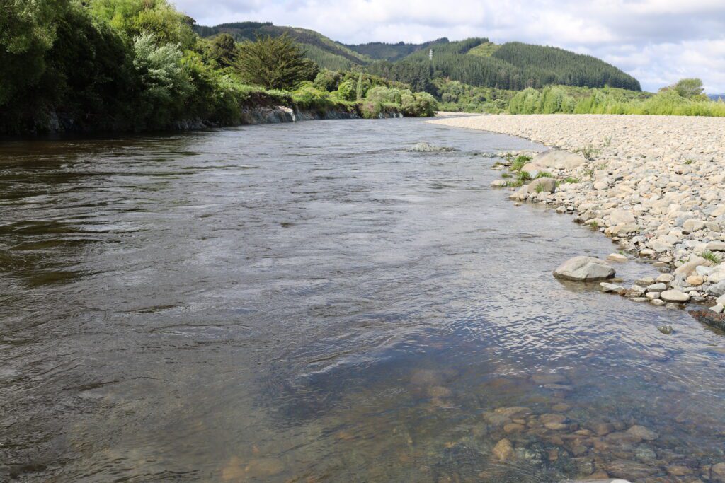 Herr der Ringe Drehorte Wellington