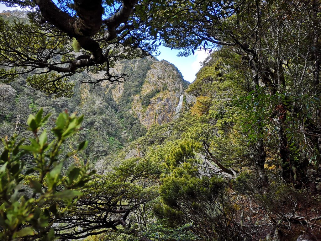 Arthurs Pass Devils Punchbowl Falls