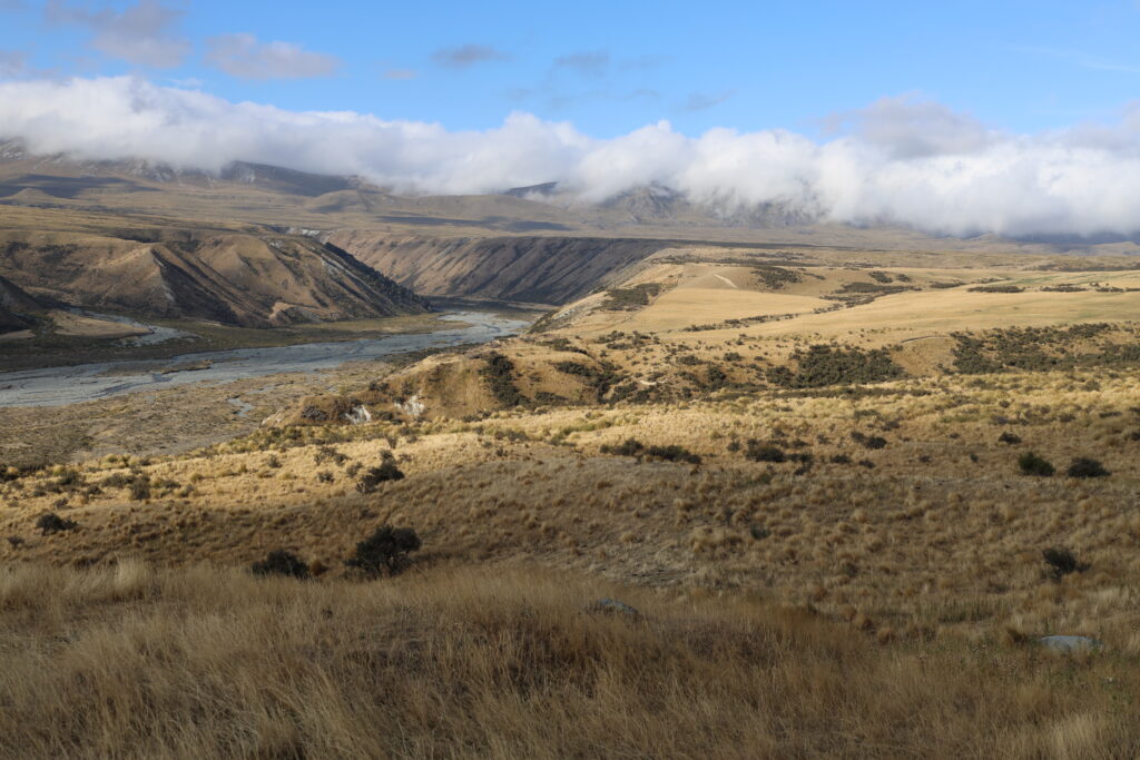 Hakatere Conservation Park Potts River