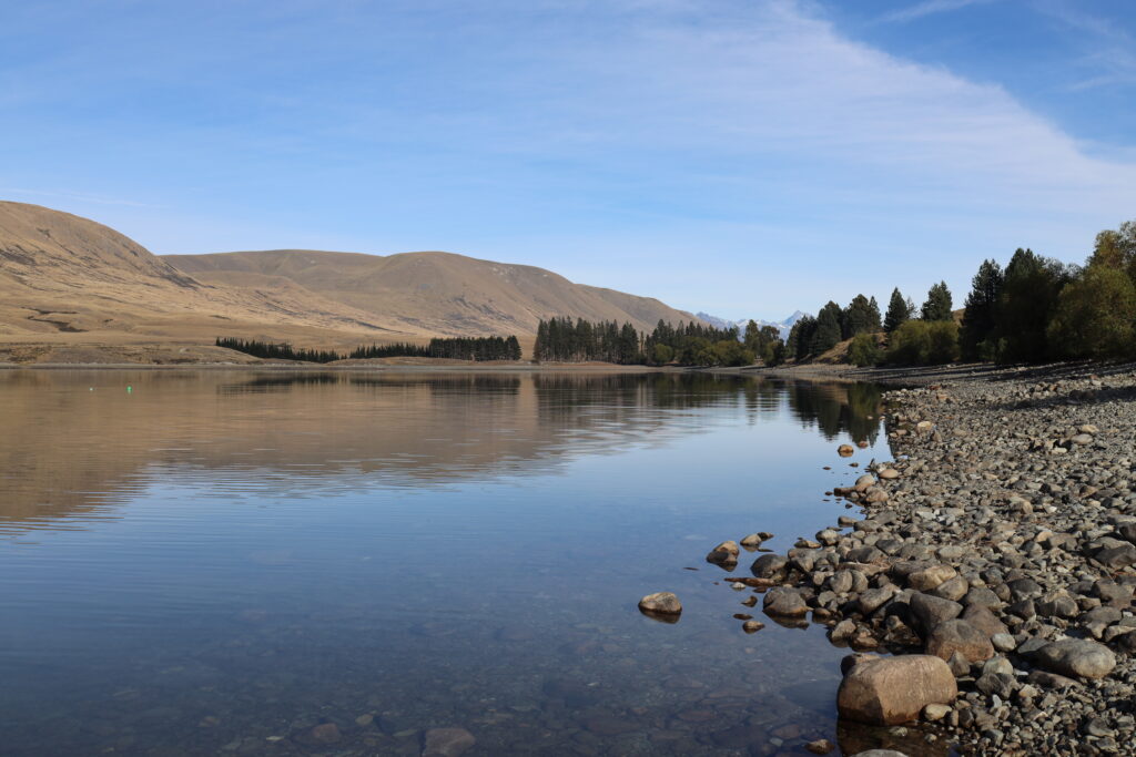 Hakatere Conservation Park Lake Camp