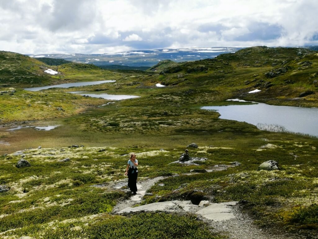 Hardangervidda Norwegen