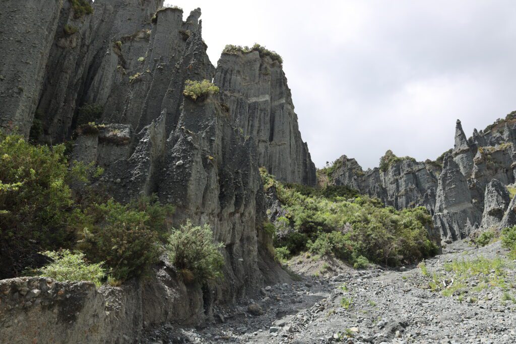 Wellington Wairarapa Putangirua Pinnacles