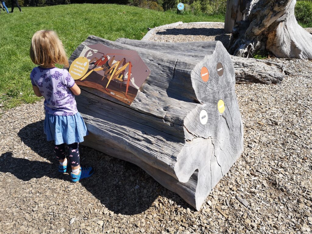 Wellington mit Kindern Victoria Park Matairanga Trail