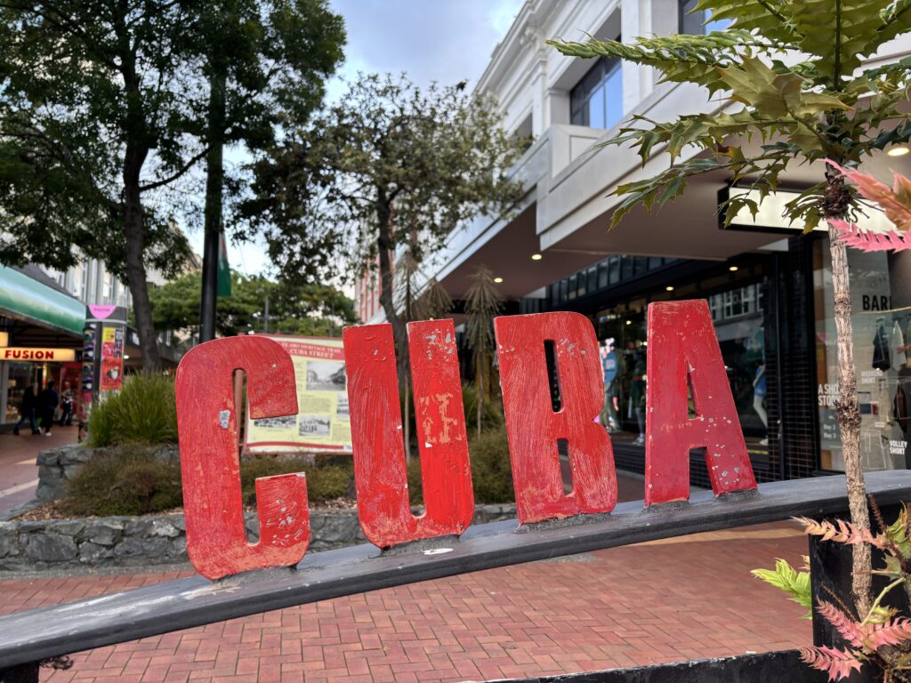 Wellington mit Kindern Cuba Street