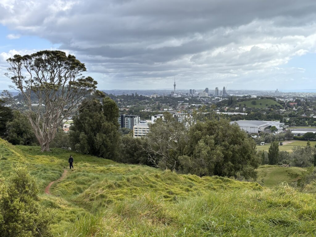 Tagesausflug ab Auckland