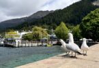 Queenstown mit Kindern