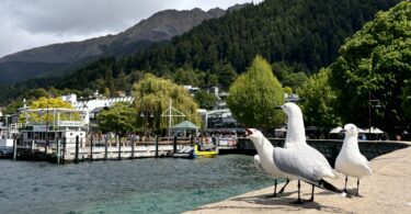 Queenstown mit Kindern