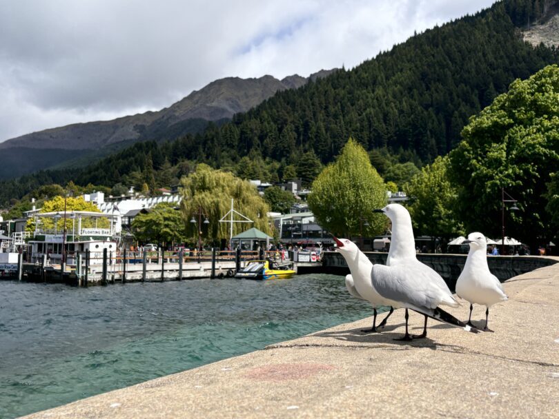 Queenstown mit Kindern